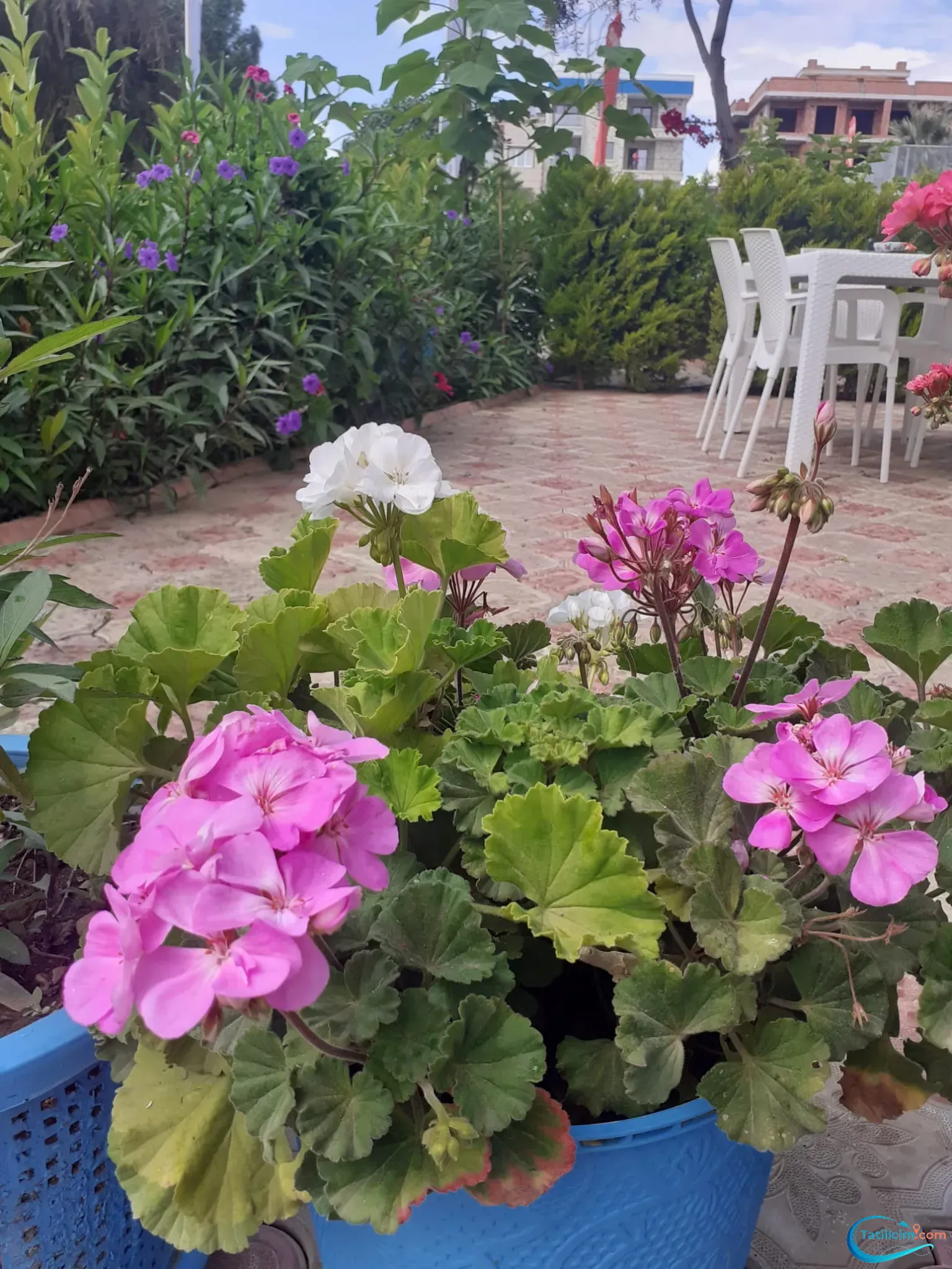 tatilcim.com Saadet Hanım Apart Otel